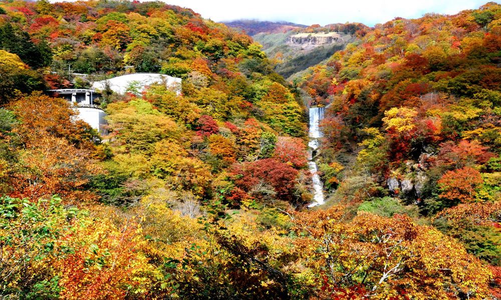 ホテルザセントレ宇都宮 観光地案内 いろは坂 紅葉