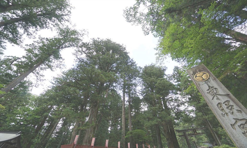 ホテルザセントレ宇都宮 観光地案内 日光東照宮