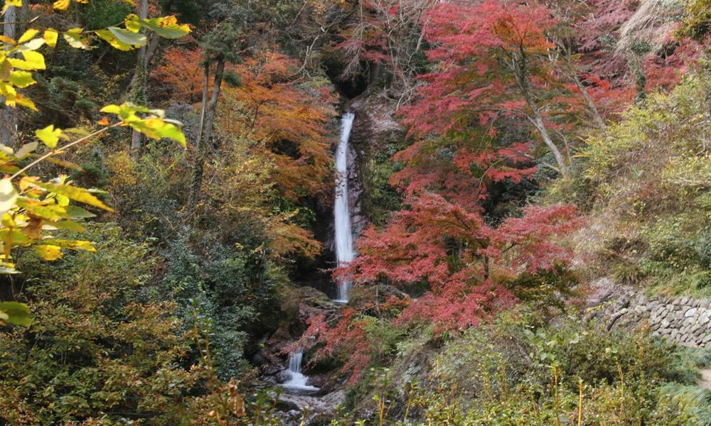 セントレ宇都宮 観光地 華厳の滝