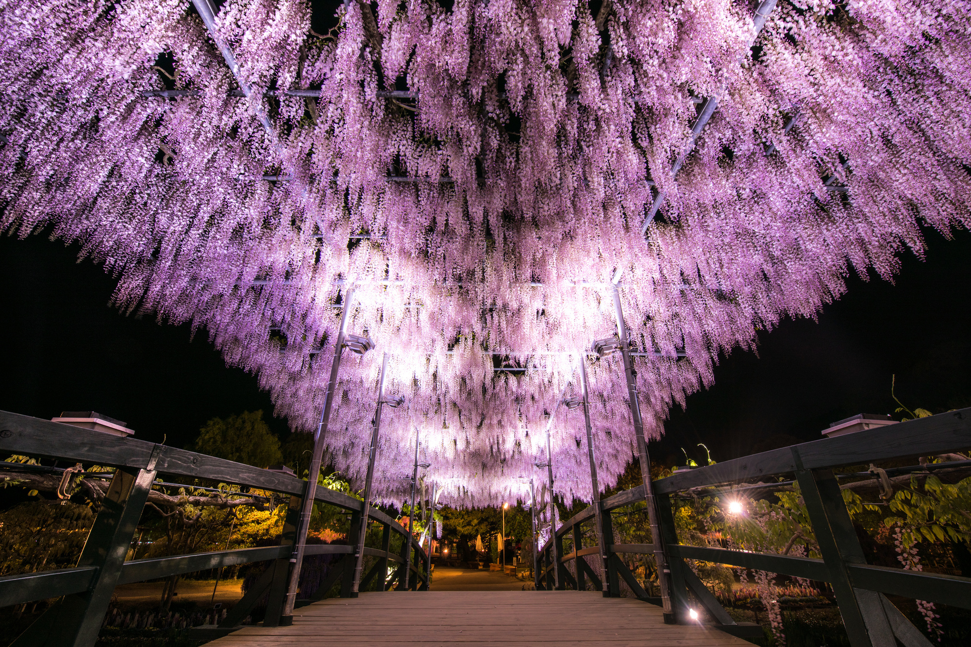 栃木フラワーパーク