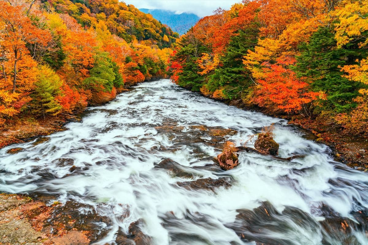 栃木県日光