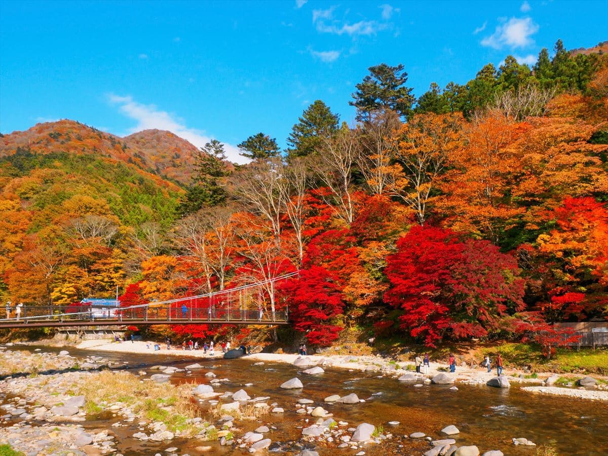 栃木県日光