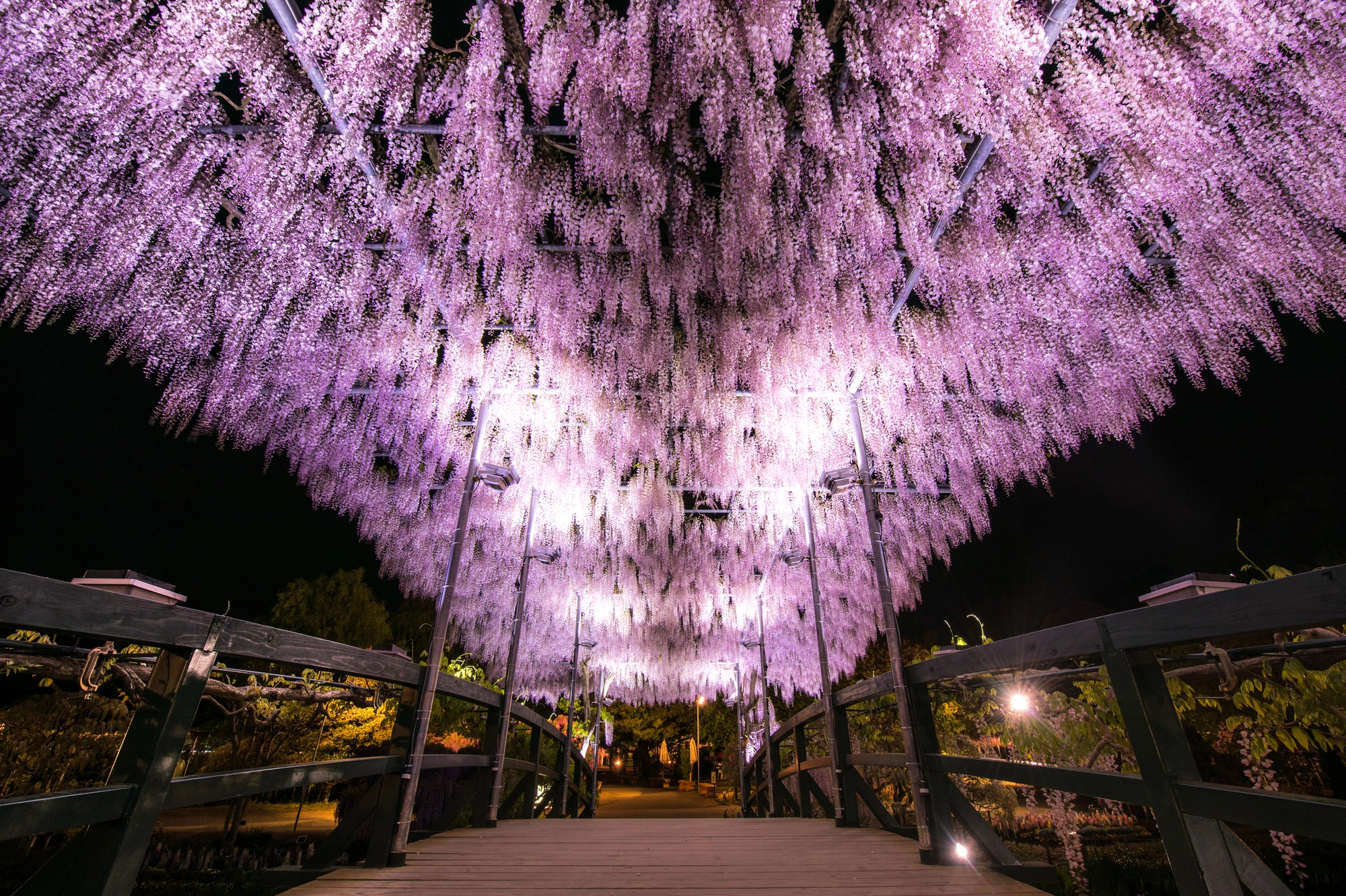 栃木フラワーパーク