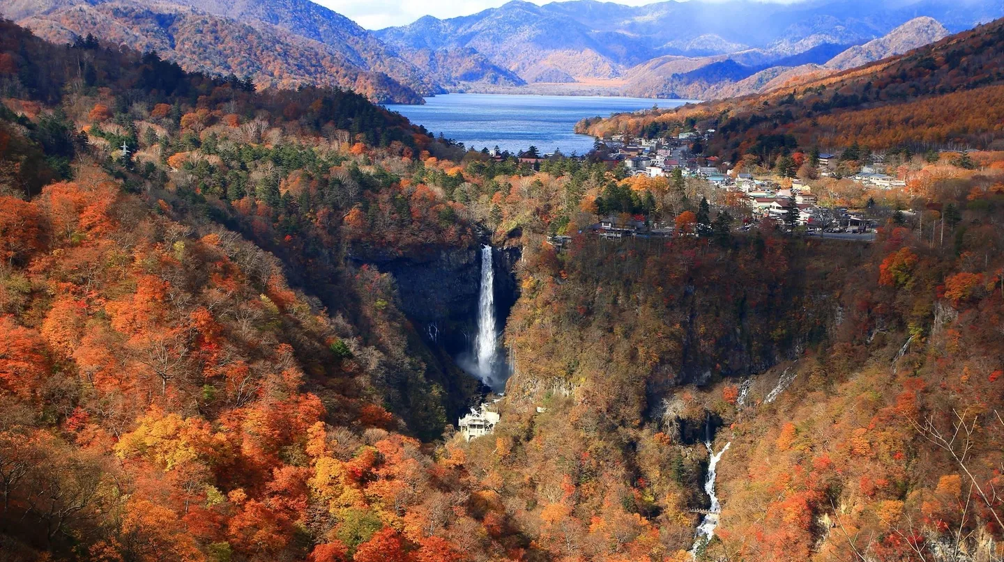 撮影機材