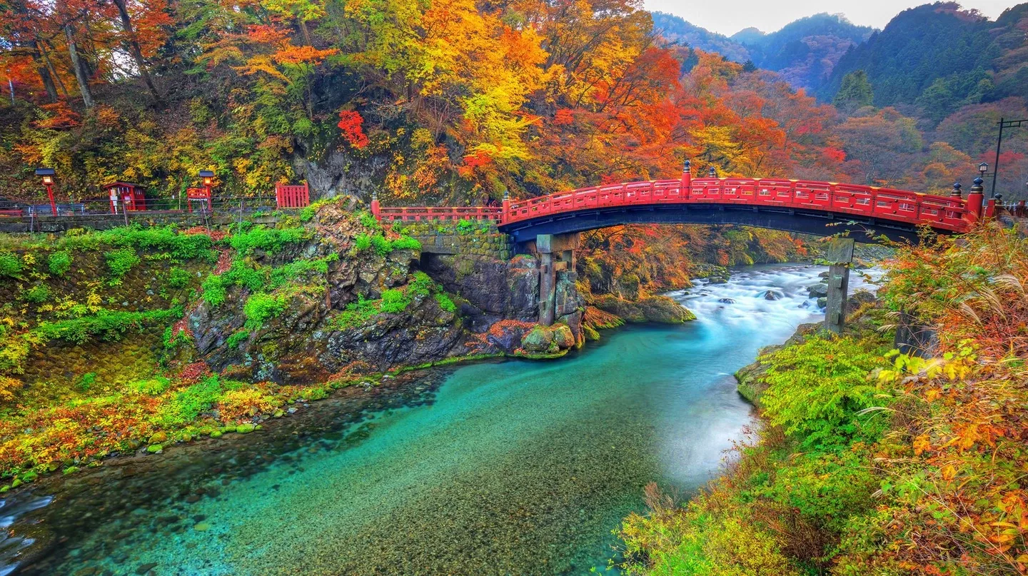 撮影隊の滞在
