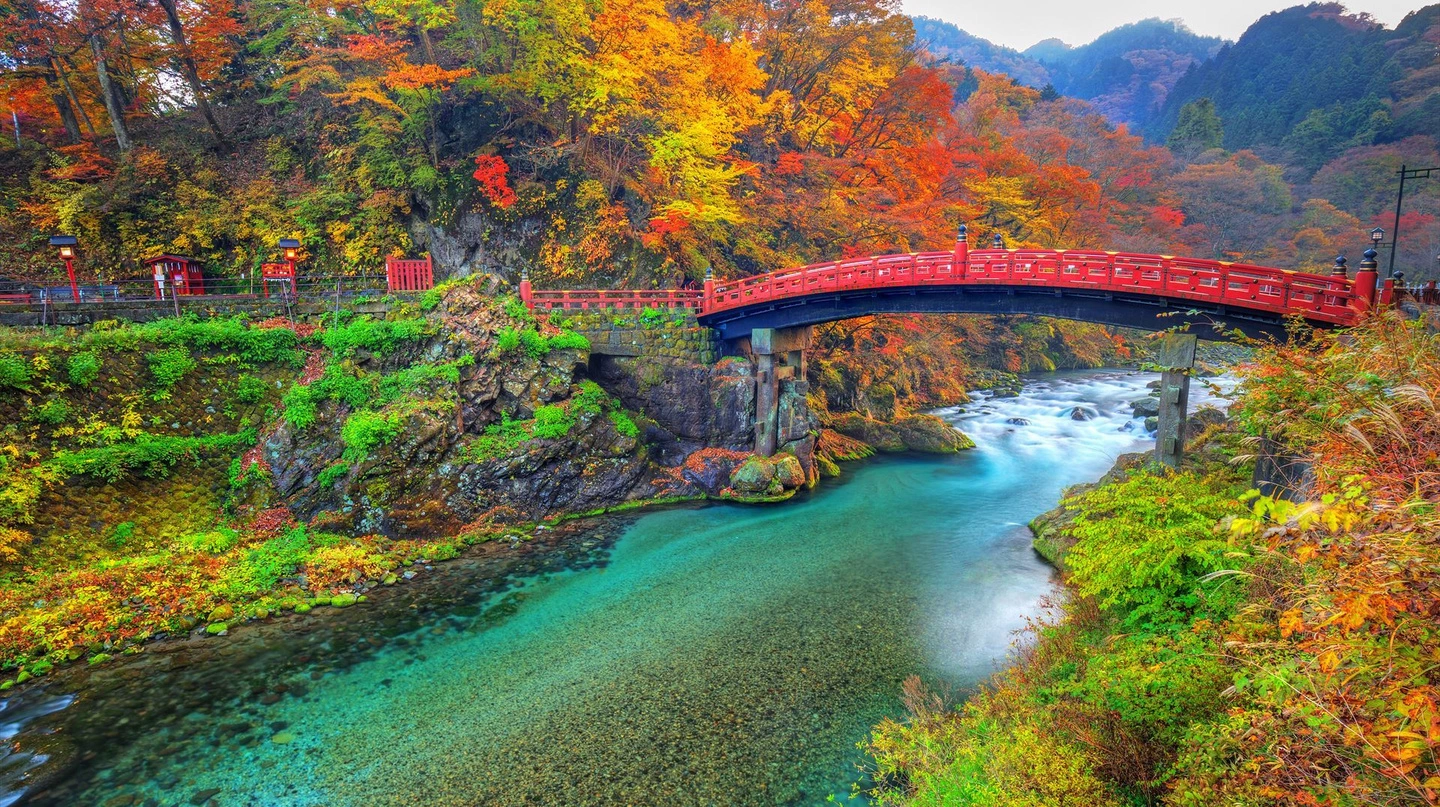 撮影隊の滞在